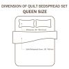 Queen 3-Piece Cotton Quilt Bedspread Set with Grey White Floral Pattern