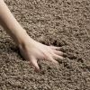 6'7" x 9'6" Hand-Tufted Plush Taupe Area Rug